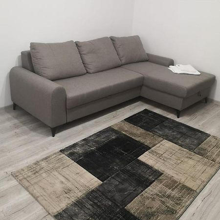 Apartament Cu Doua Camere Târgu Jiu Zewnętrze zdjęcie