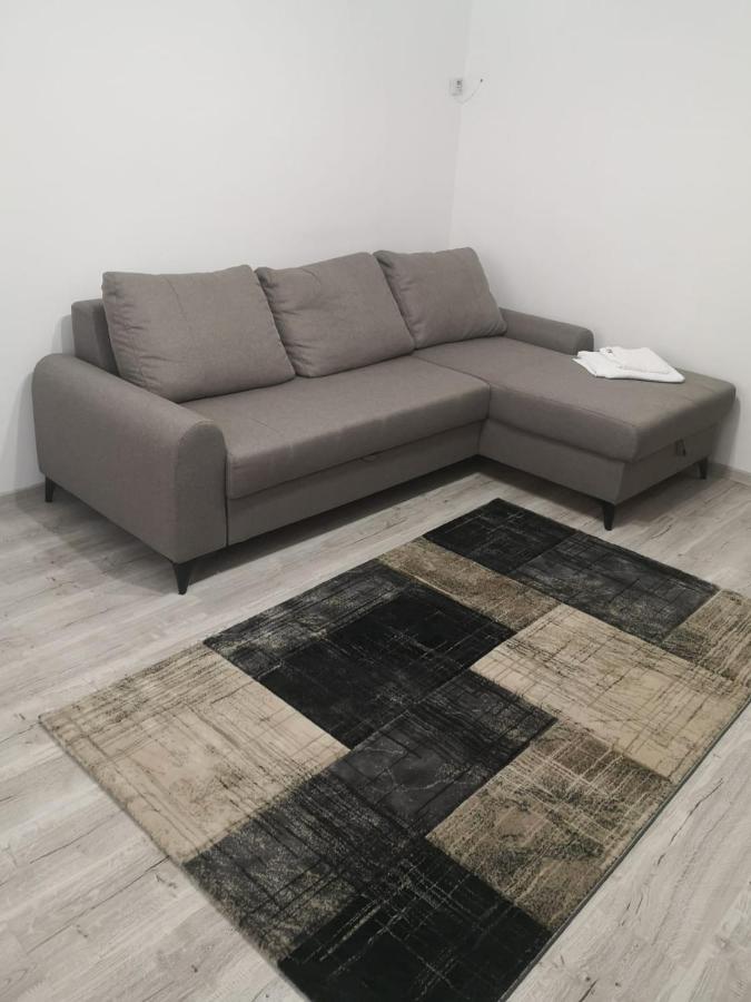 Apartament Cu Doua Camere Târgu Jiu Zewnętrze zdjęcie